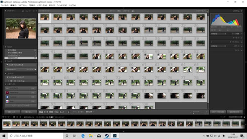 LightroomでRAW現像